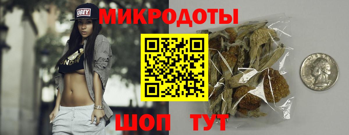 Гай  Галлюциногенные грибы прущие грибы  Вход с VPN 
