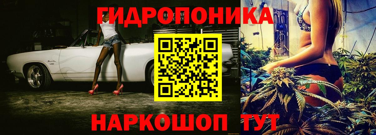 Марихуана Amnesia Гай